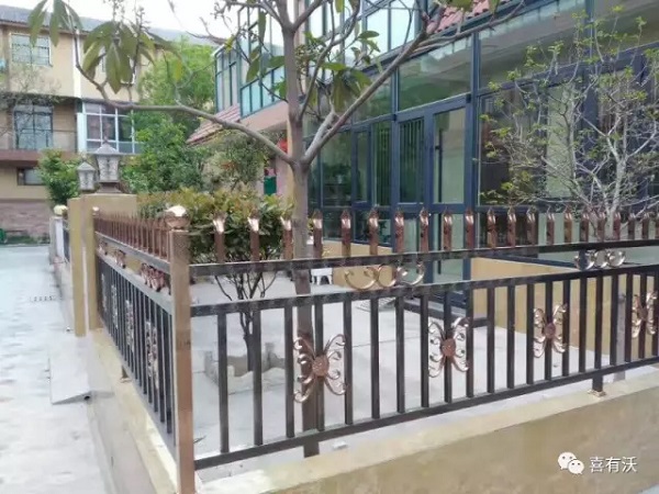 彩色不銹鋼管 彩色不銹鋼管