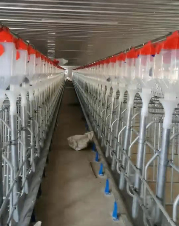 養殖廠上料輸送管用不銹鋼管