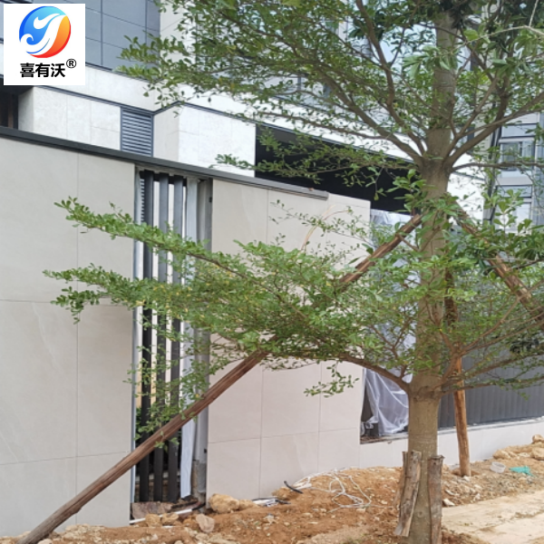 微信圖片_20231115113129.png 微信圖片_20231115113129.png